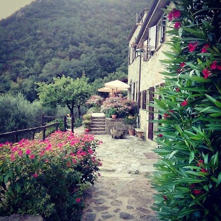 Farmhouse B&B Castagnola 64 Ne Zewnętrze zdjęcie