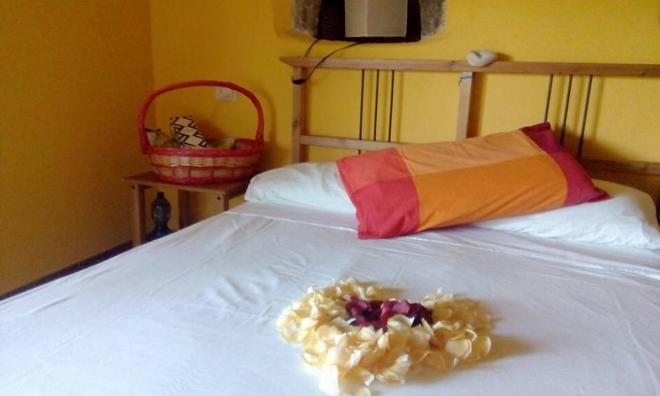 Farmhouse B&B Castagnola 64 Ne Zewnętrze zdjęcie