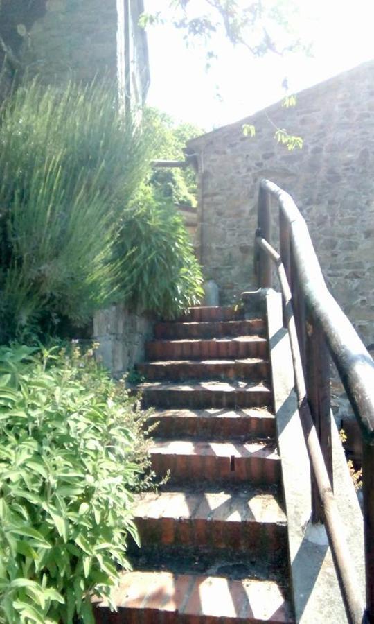 Farmhouse B&B Castagnola 64 Ne Zewnętrze zdjęcie